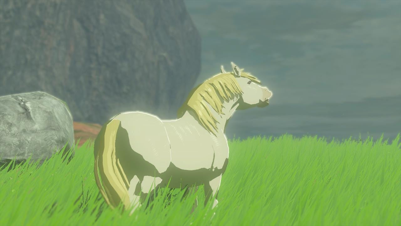White Horse - The Legend Of Zelda: Tears Of The Kingdom Guide - Ign