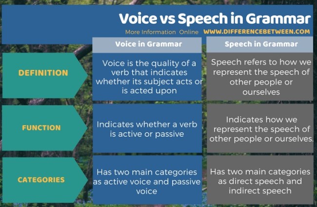 Difference Between Voice And Speech In Grammar | Compare The Difference  Between Similar Terms