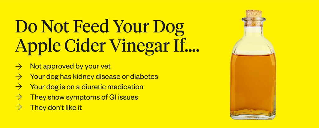 Everything You Need To Know: Apple Cider Vinegar For Dogs |Dutch