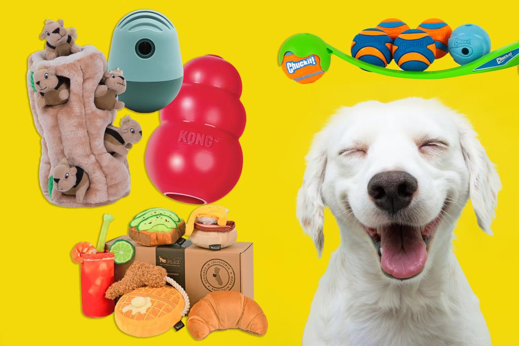 12 Best Dog Toys To Spoil Your Pup In 2023