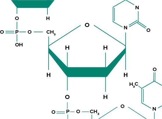 First Organic Molecules | Ck-12 Foundation