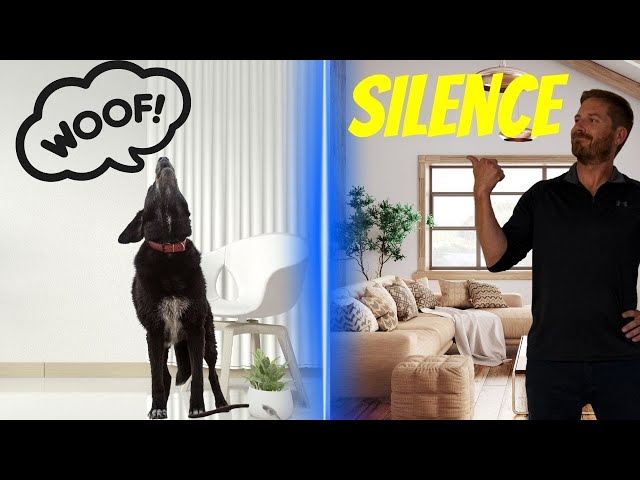 Dog Owners! Here'S How To Soundproof Your Apartment! - Youtube